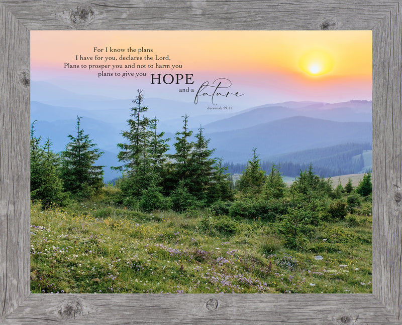 For I Know the Plans I Have for You by Summer Snow SN315