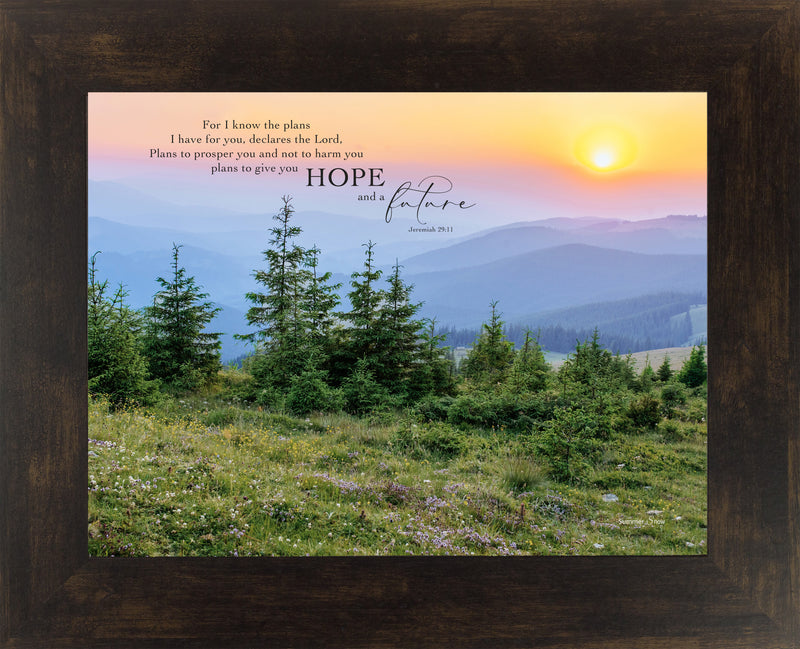 For I Know the Plans I Have for You by Summer Snow SN315