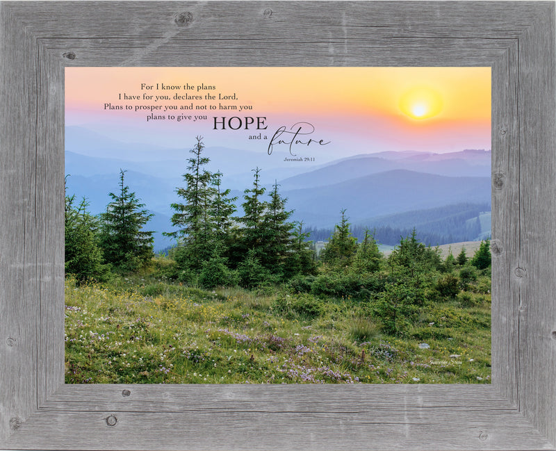 For I Know the Plans I Have for You by Summer Snow SN315