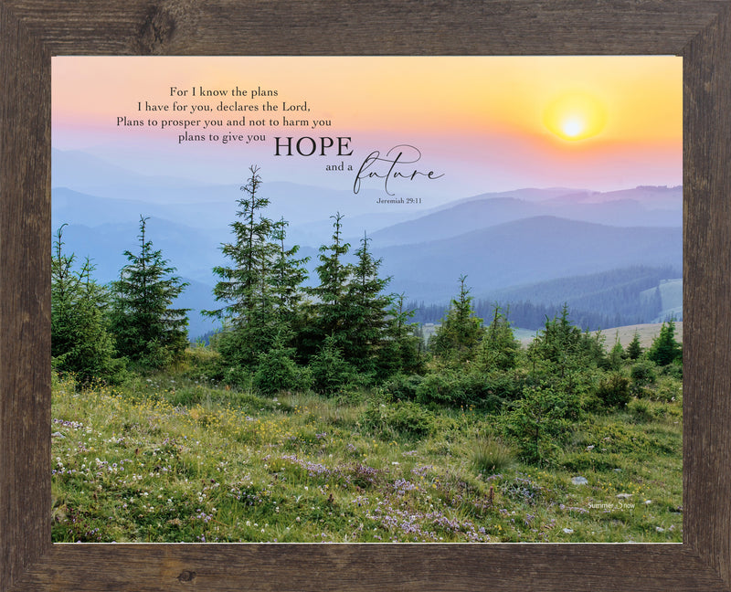 For I Know the Plans I Have for You by Summer Snow SN315