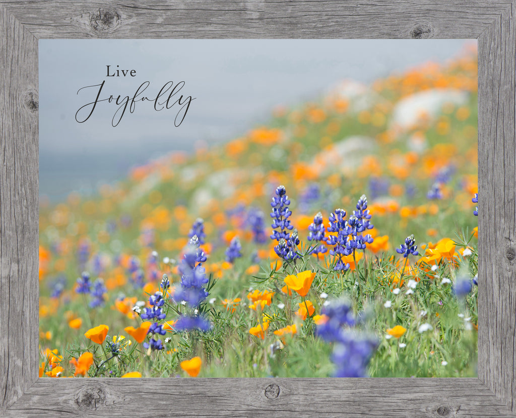 Live Joyfully by Summer Snow SA319