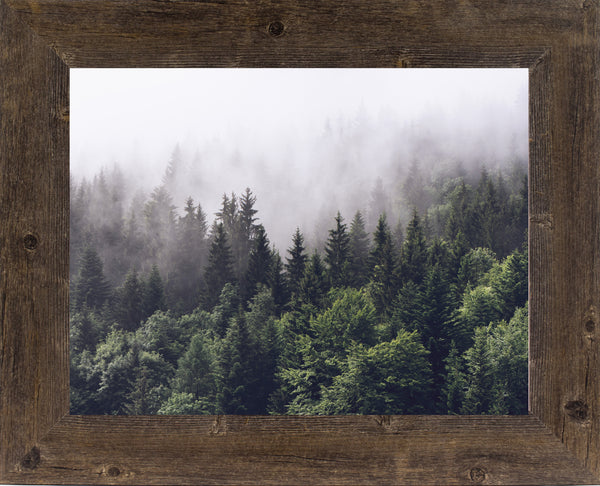 Misty Forest by Summer Snow SS185