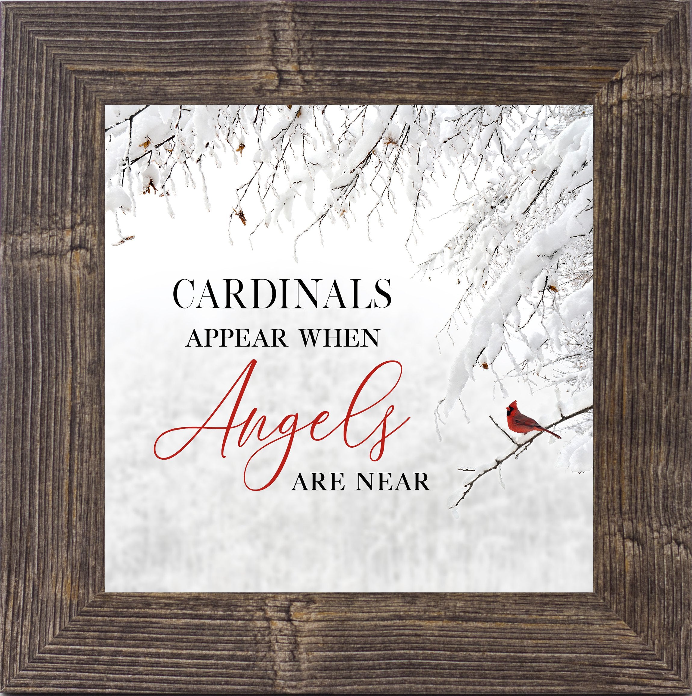 Cardinals Appear When Angels Are Near red by Summer Snow SS856 - Summer Snow Art