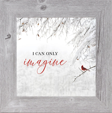 I Can Only Imagine by Summer Snow SS860R