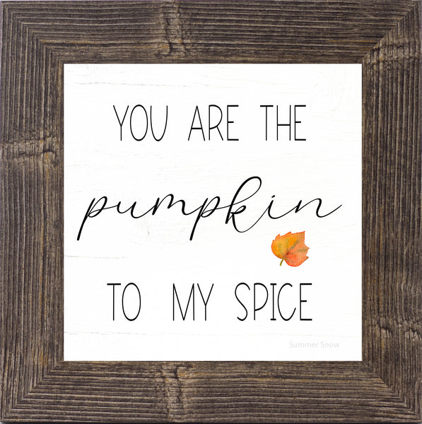You Are the Pumpkin to My Spice by Summer Snow SS875