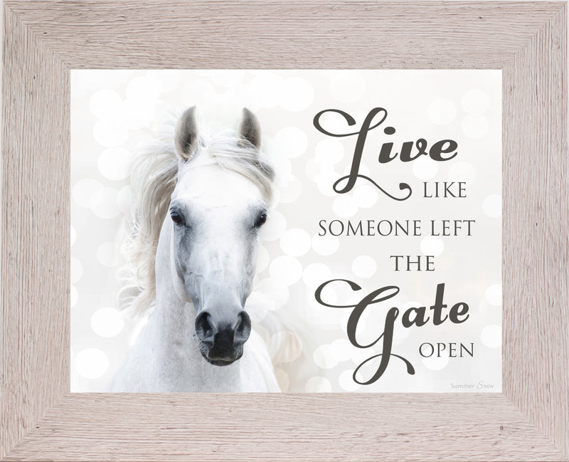 Live Like Someone Left the Gate Open white horse SSW9819 - Summer Snow Art