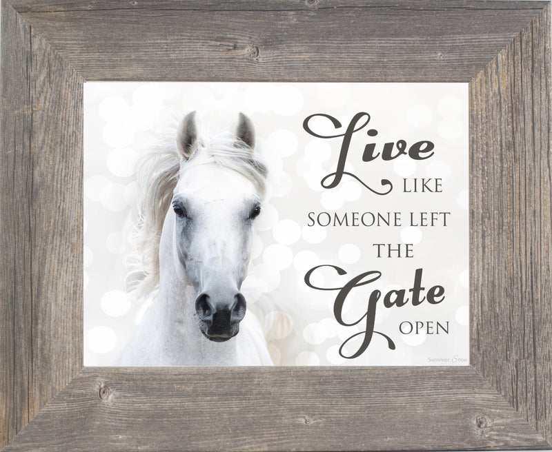 Live Like Someone Left the Gate Open white horse SSW9819 - Summer Snow Art