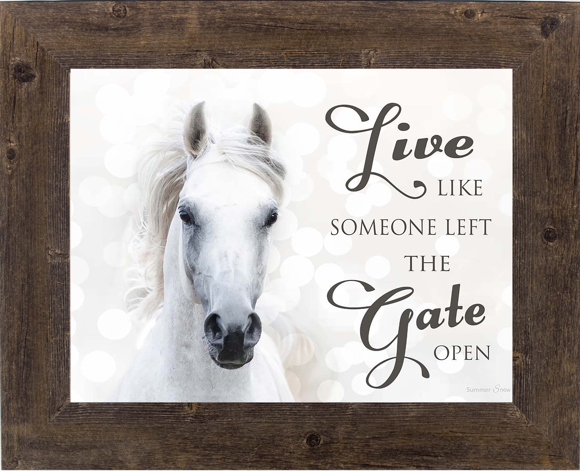 Live Like Someone Left the Gate Open white horse SSW9819