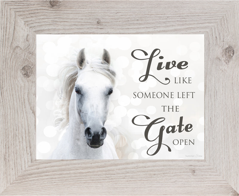 Live Like Someone Left the Gate Open white horse SSW9819 - Summer Snow Art