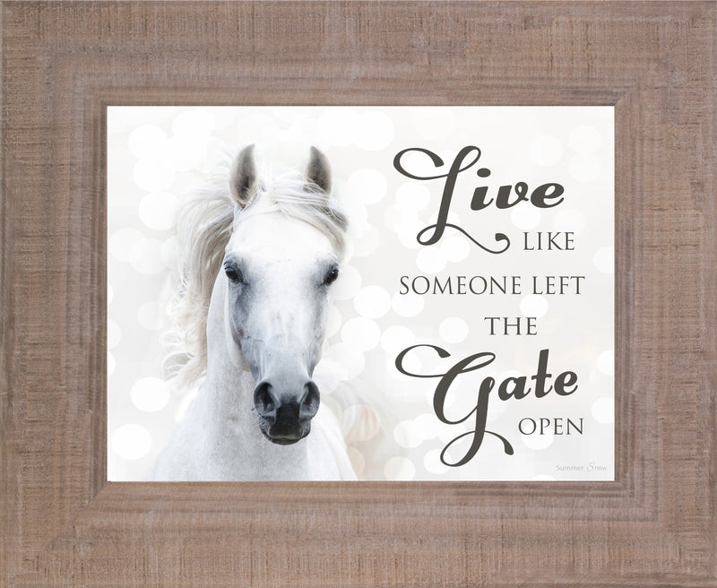 Live Like Someone Left the Gate Open white horse SSW9819 - Summer Snow Art