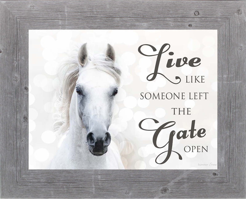 Live Like Someone Left the Gate Open white horse SSW9819