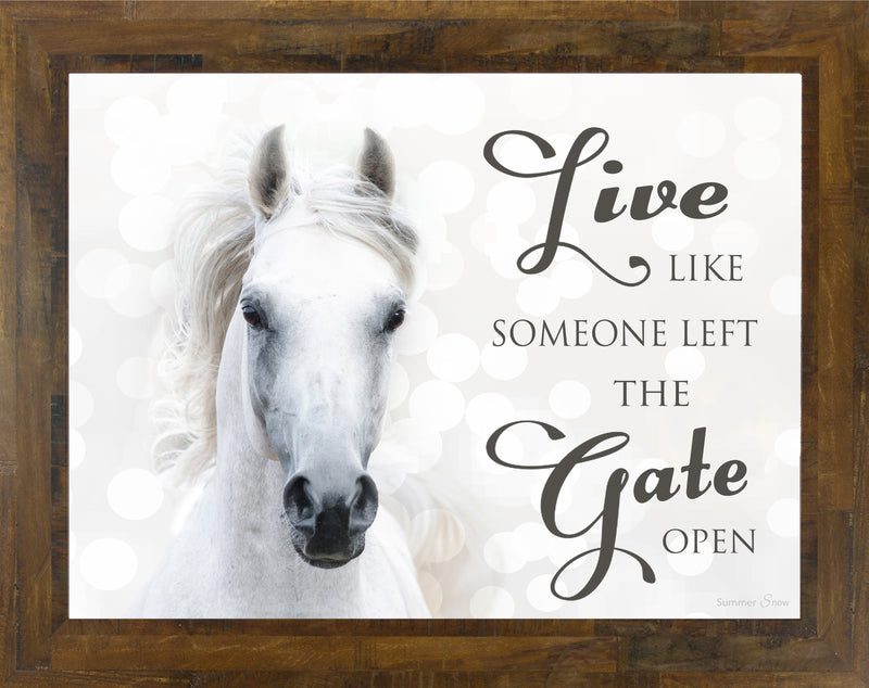 Live Like Someone Left the Gate Open white horse SSW9819 - Summer Snow Art