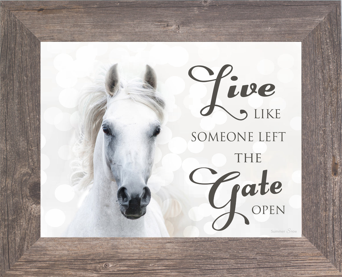 Live Like Someone Left the Gate Open white horse SSW9819 - Summer Snow Art