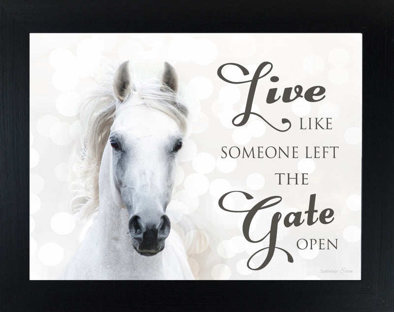 Live Like Someone Left the Gate Open white horse SSW9819 - Summer Snow Art