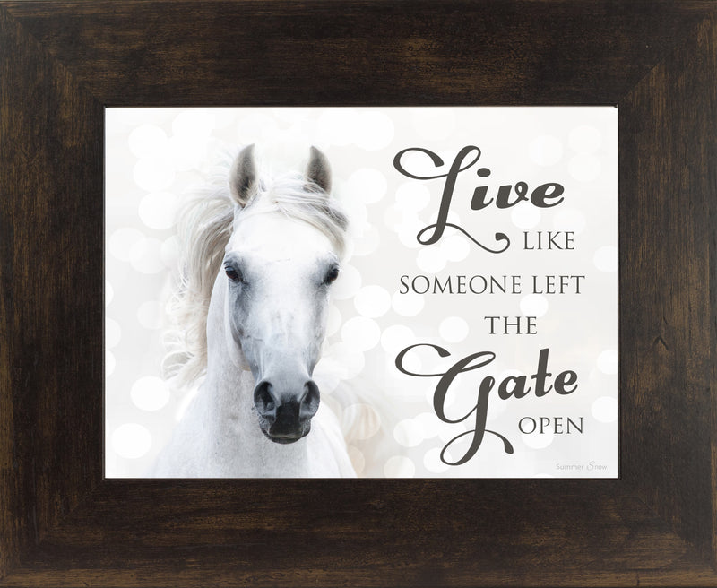 Live Like Someone Left the Gate Open white horse SSW9819 - Summer Snow Art