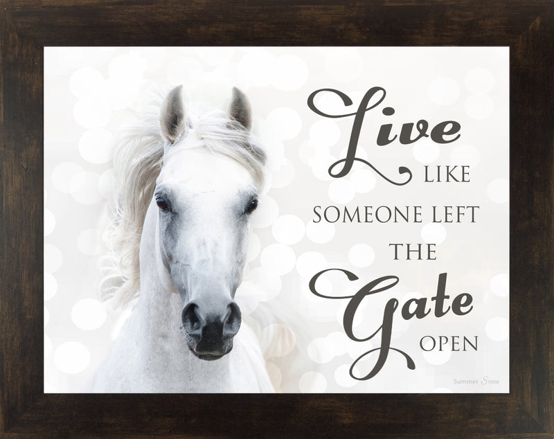 Live Like Someone Left the Gate Open white horse SSW9819 - Summer Snow Art