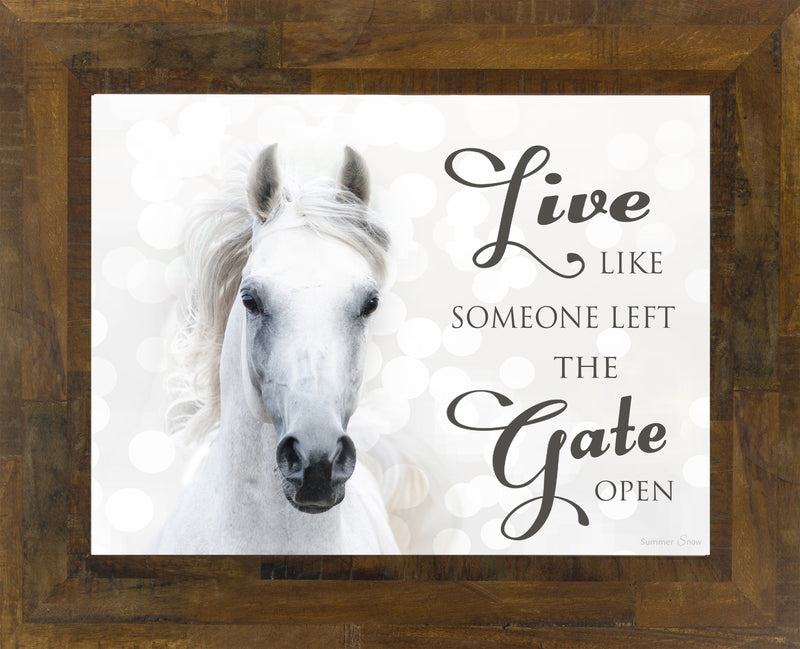 Live Like Someone Left the Gate Open white horse SSW9819 - Summer Snow Art