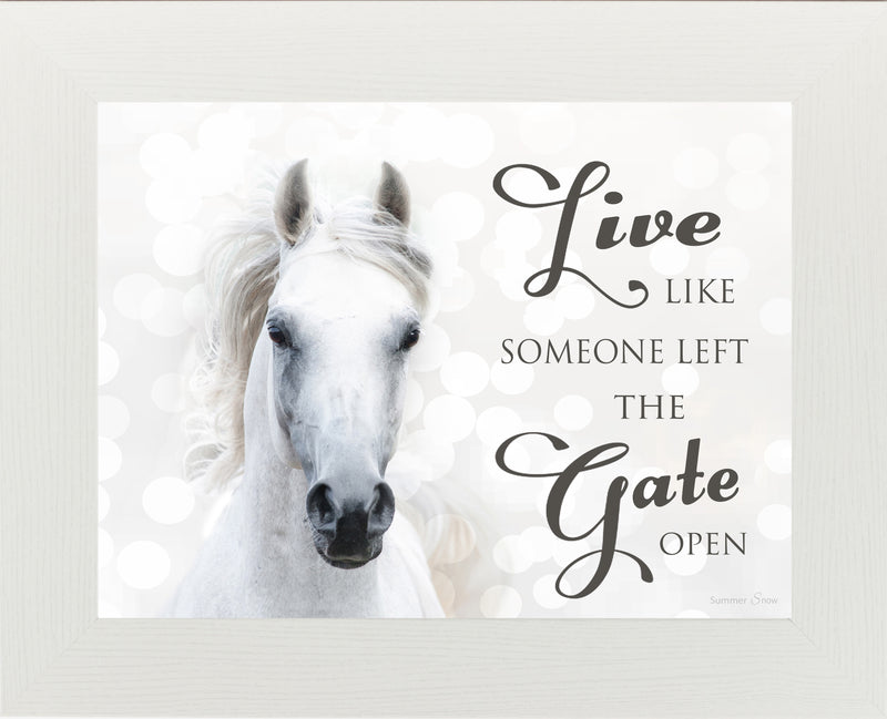 Live Like Someone Left the Gate Open white horse SSW9819 - Summer Snow Art