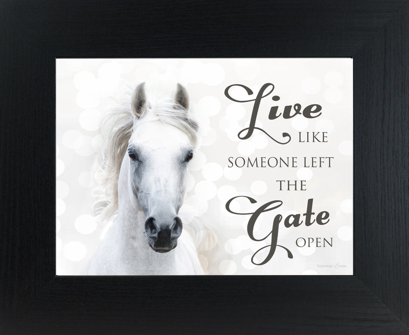 Live Like Someone Left the Gate Open white horse SSW9819 - Summer Snow Art