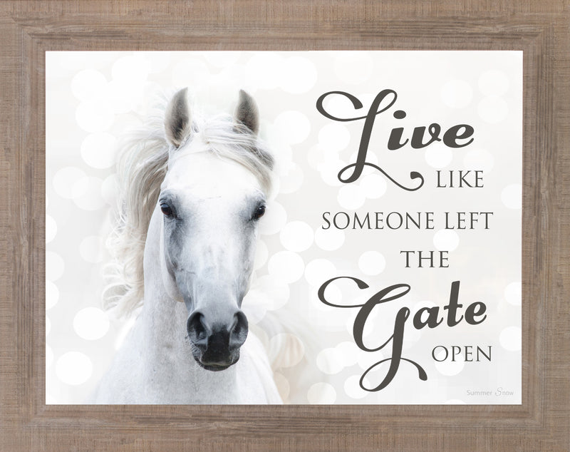 Live Like Someone Left the Gate Open white horse SSW9819 - Summer Snow Art