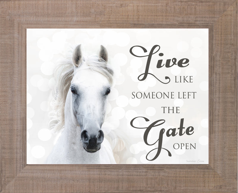 Live Like Someone Left the Gate Open white horse SSW9819 - Summer Snow Art