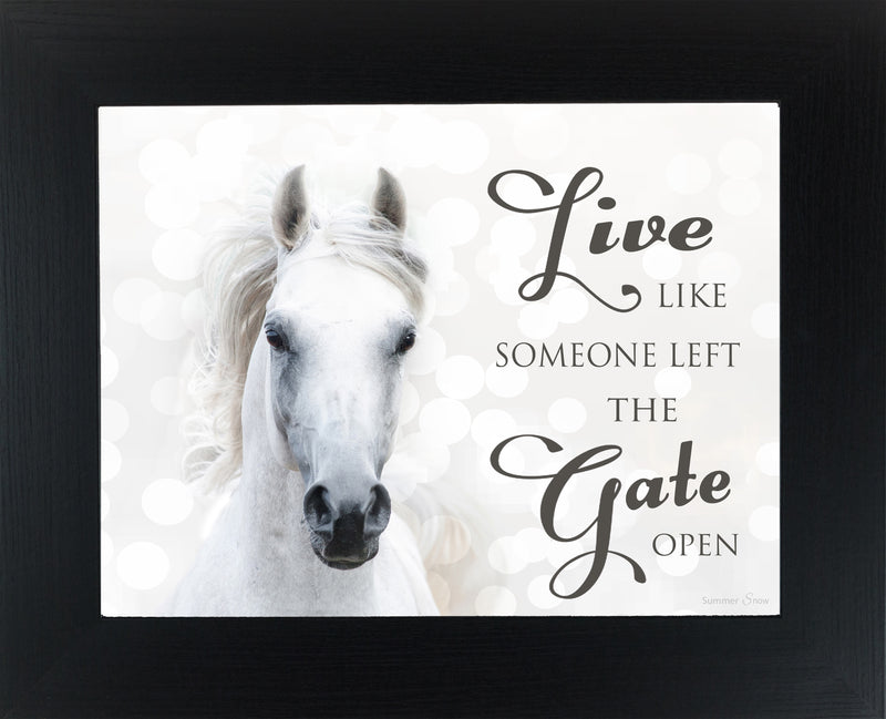 Live Like Someone Left the Gate Open white horse SSW9819 - Summer Snow Art