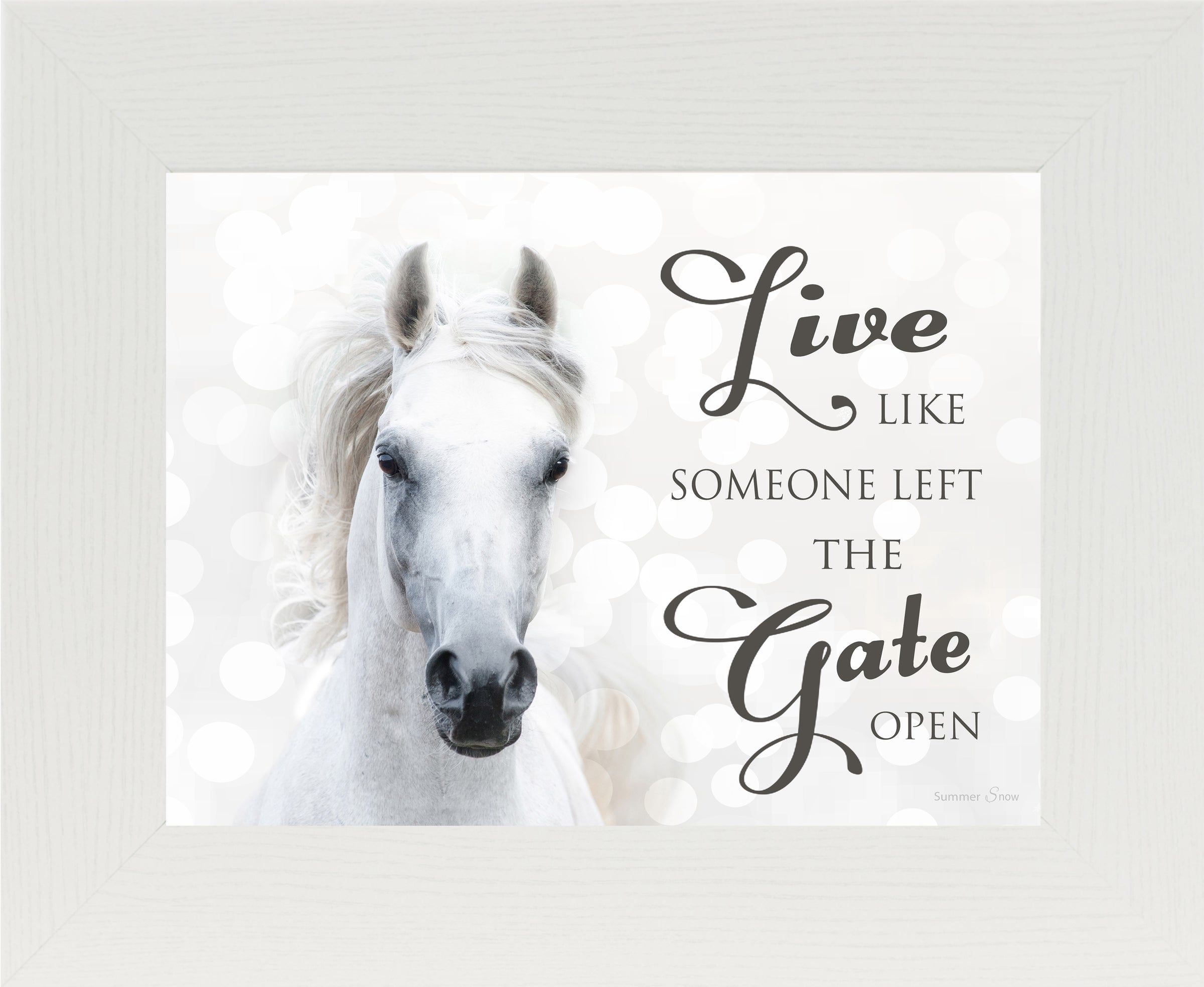 Live Like Someone Left the Gate Open white horse SSW9819 - Summer Snow Art