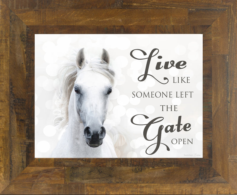 Live Like Someone Left the Gate Open white horse SSW9819 - Summer Snow Art