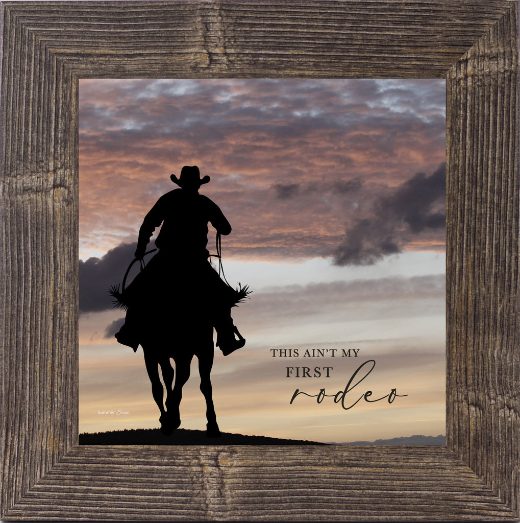 This Ain't My First Rodeo by Summer Snow W136
